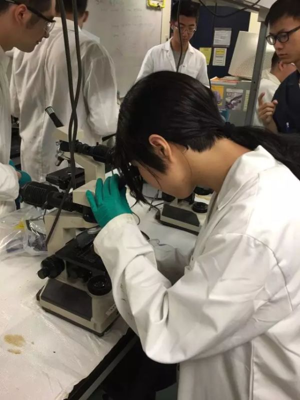 调教母狗