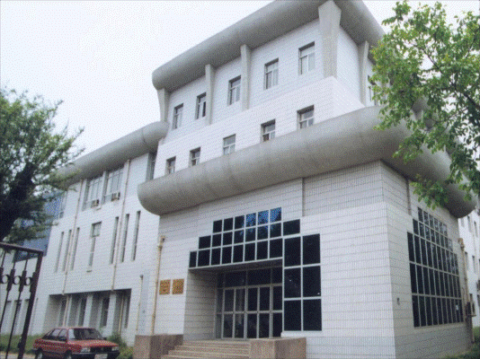 调教母狗