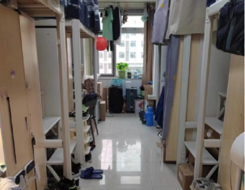 调教母狗