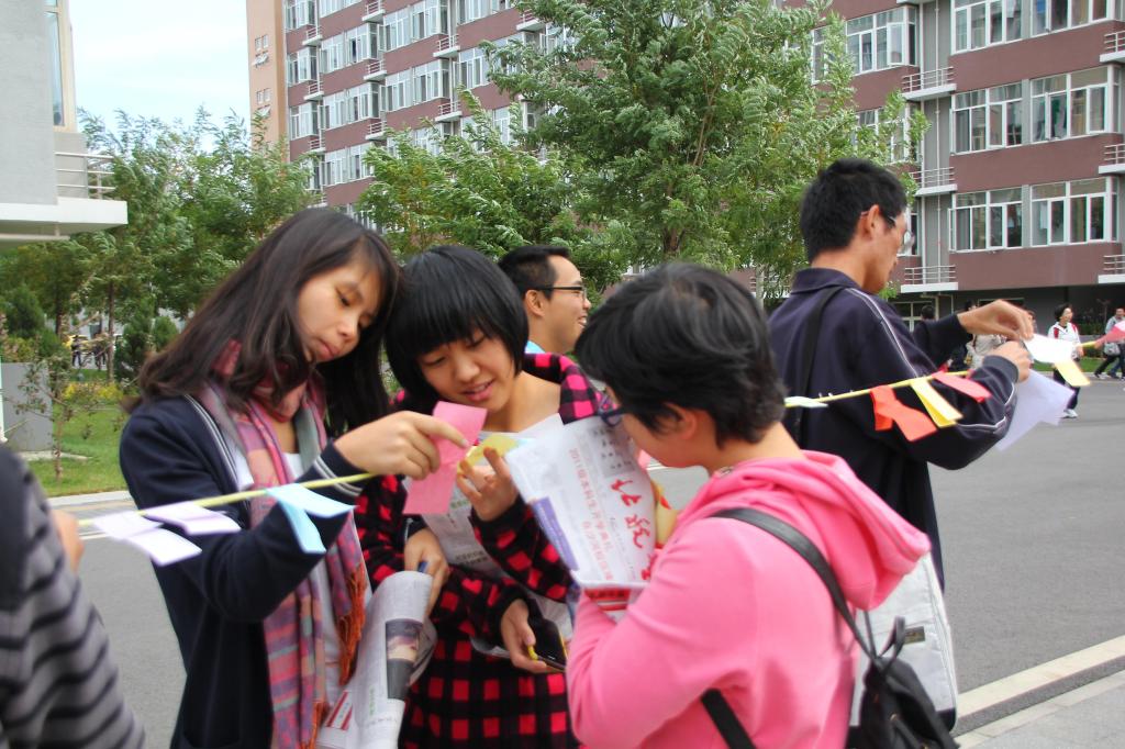 调教母狗