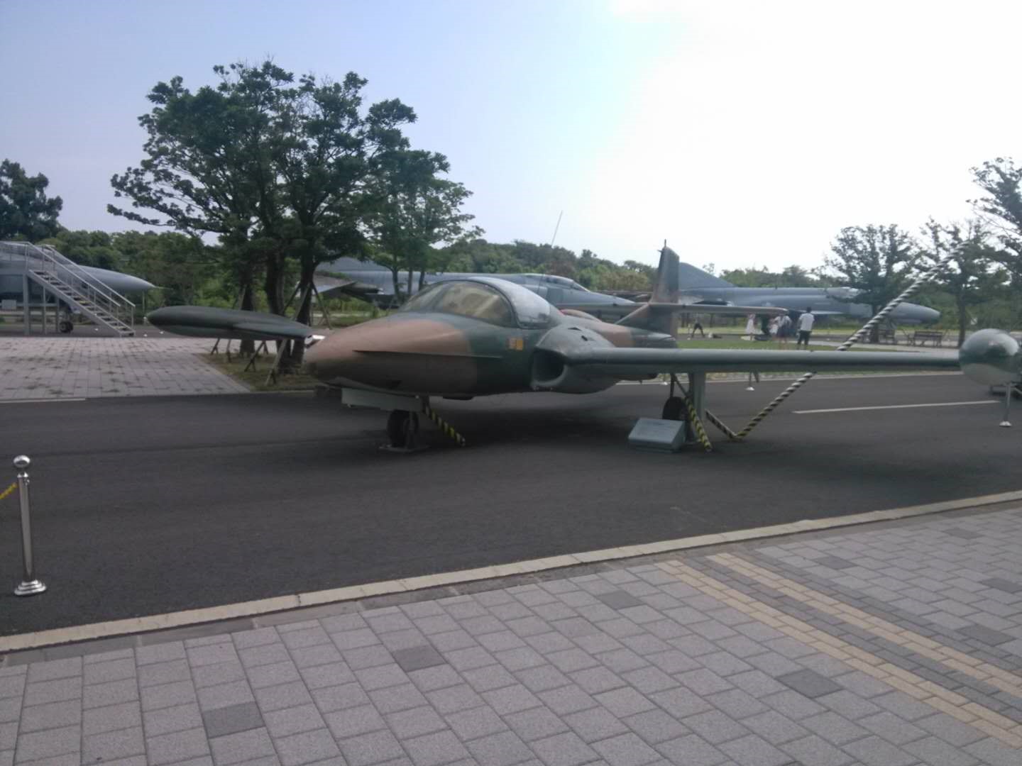 调教母狗