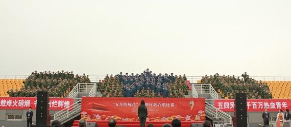 调教母狗