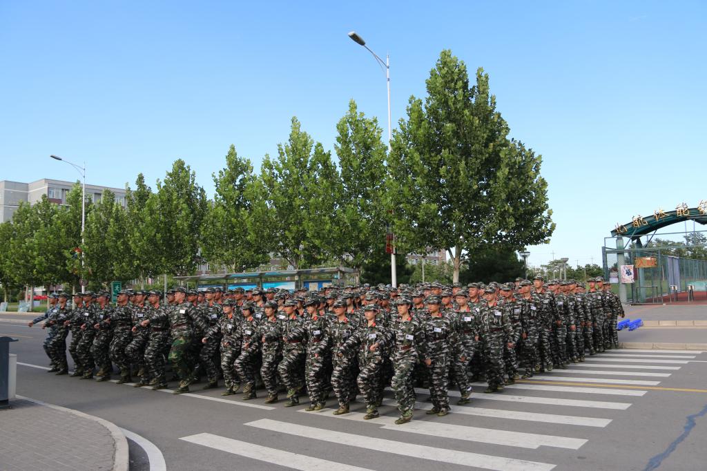 调教母狗