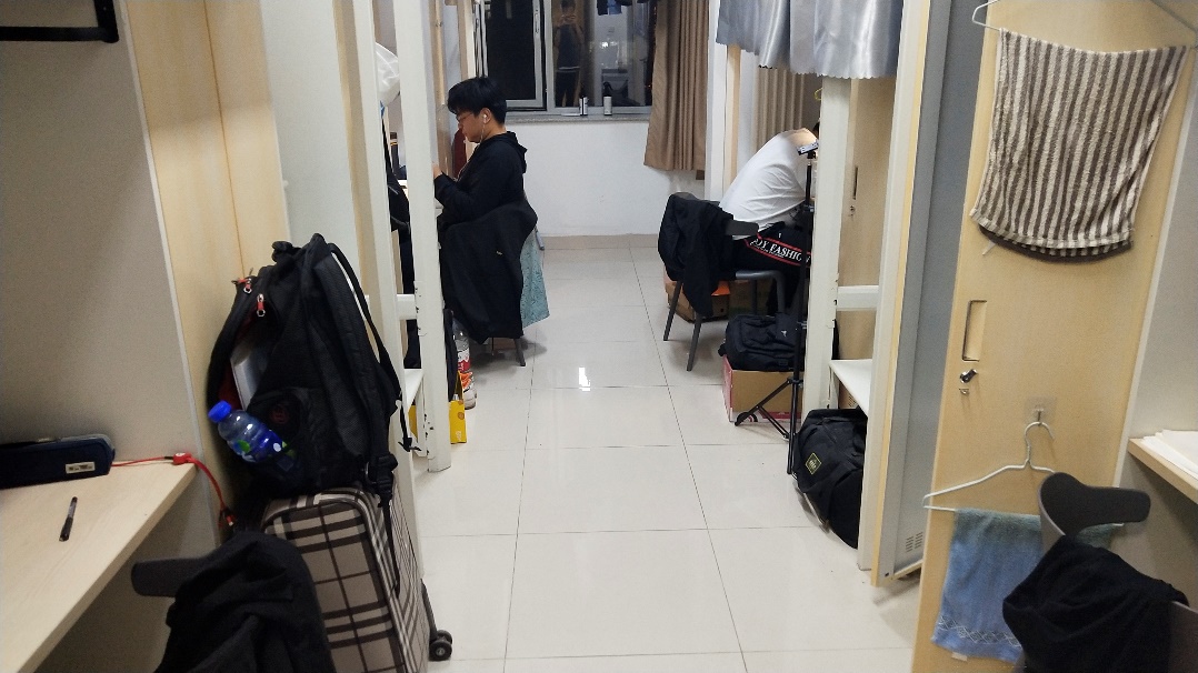调教母狗
