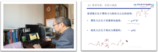 调教母狗