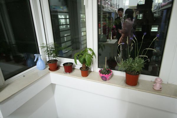 调教母狗