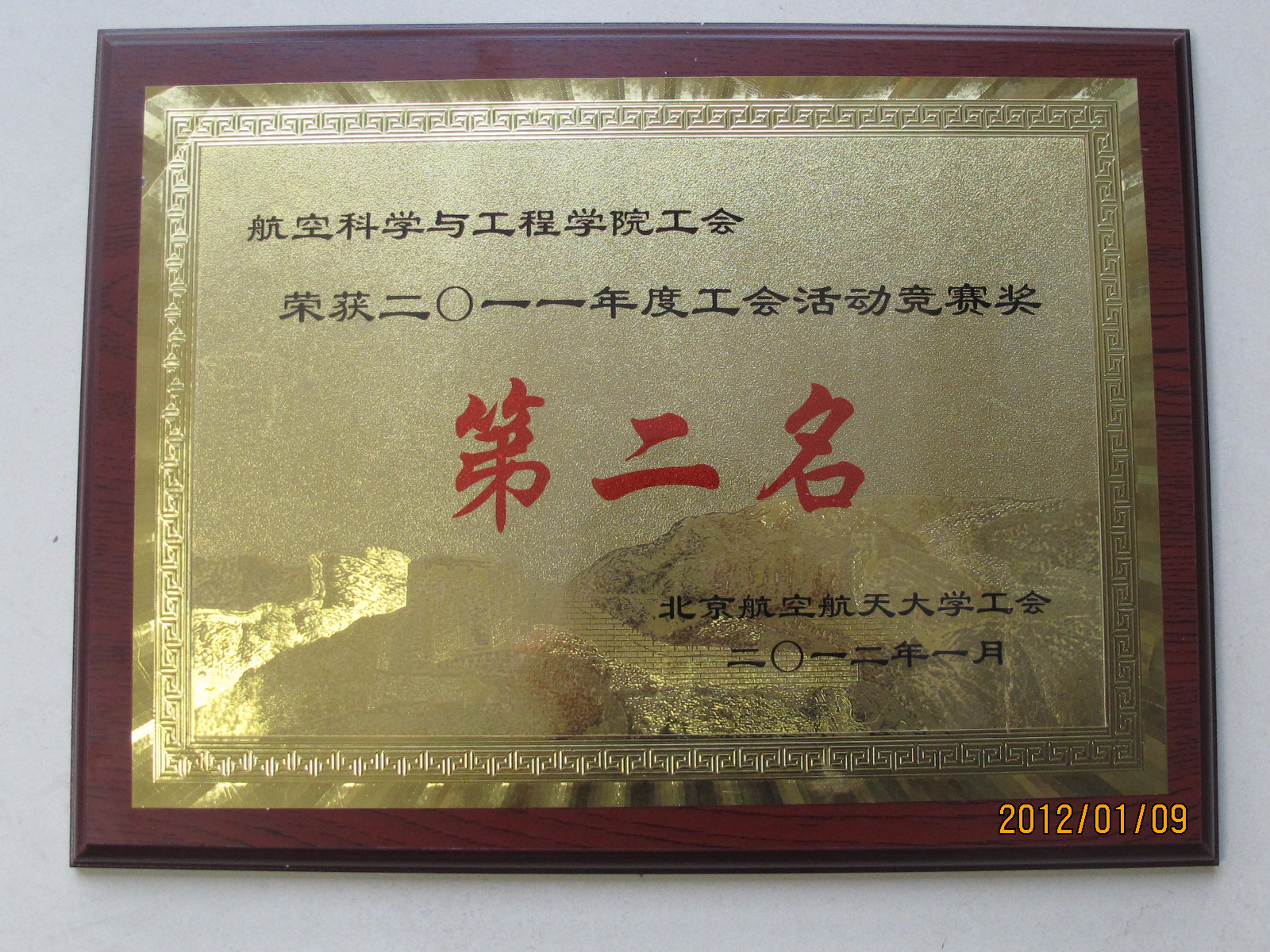 调教母狗