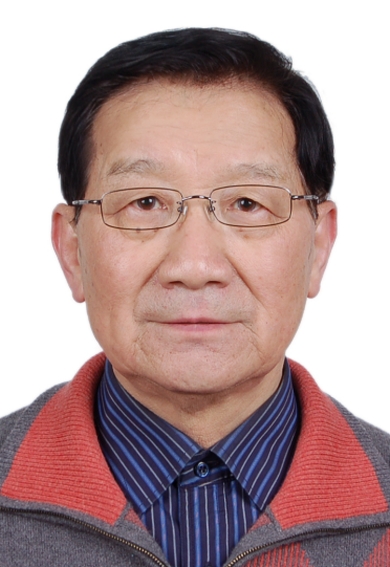 调教母狗