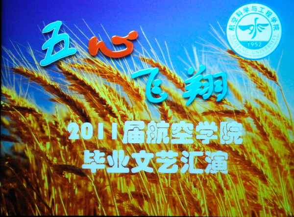 调教母狗