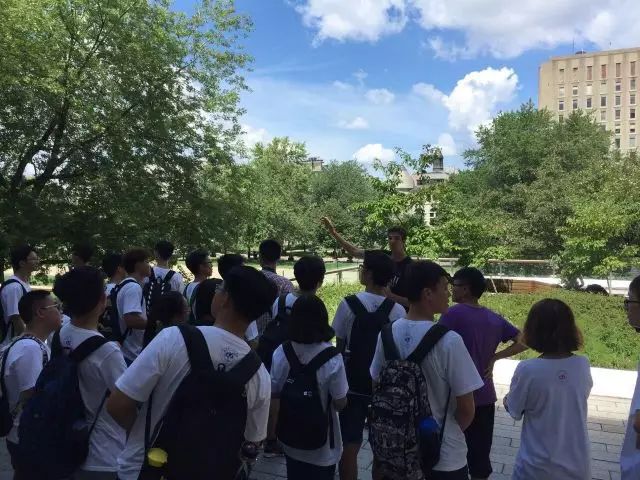 调教母狗